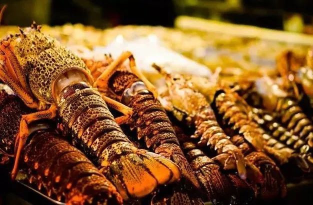 加拿大進口波士頓龍蝦報關到上海機場水產(chǎn)品案例