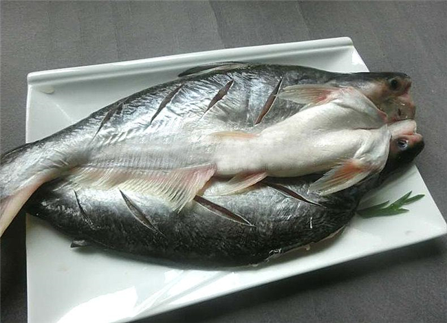 冷凍巴沙魚進口報關(guān)