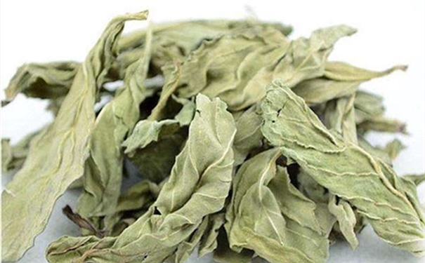 干薄荷葉進口報關的流程是怎樣的? 干薄荷葉進口報關