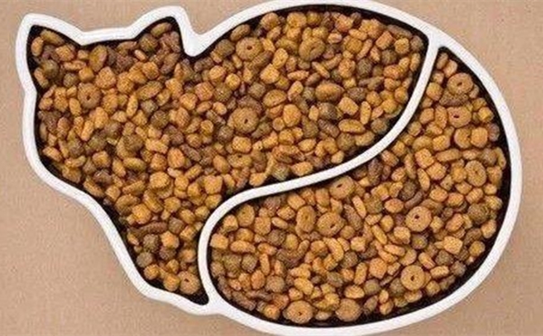 【進口貓糧清關代理】的流程，貓糧進口這樣做