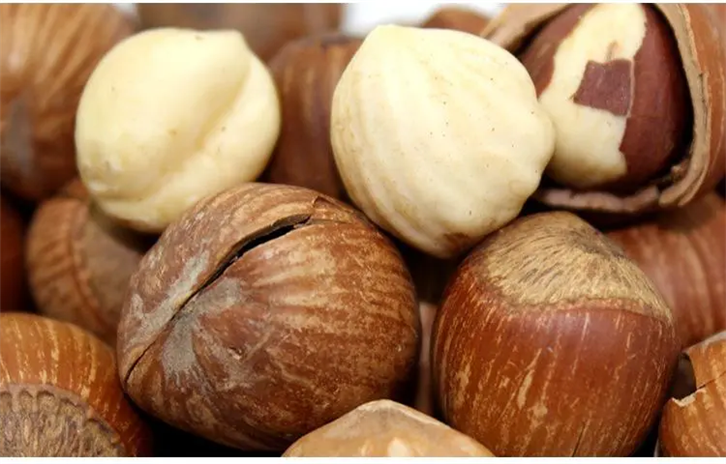 1651051189308885.png 帶殼堅(jiān)果進(jìn)口清關(guān)_副本.png