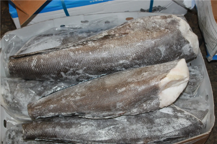 1651835557581090.png 冷凍水產(chǎn)品進(jìn)口報(bào)關(guān)公司 (3)_副本.png