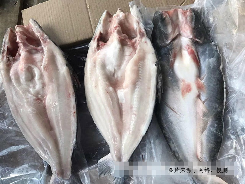 越南冷凍巴沙魚進(jìn)口報關(guān)資料